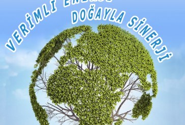 Enerji Verimliliği Paneli